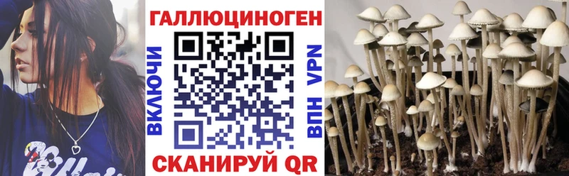 Псилоцибиновые грибы Psilocybe Серов